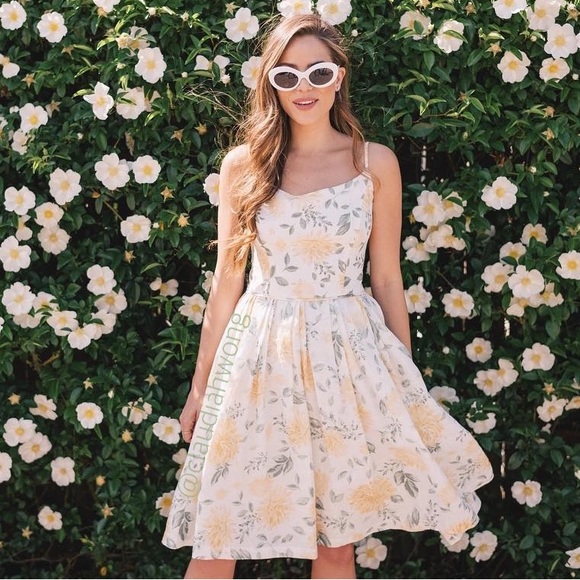 ✨RARE✨ GAL MEETS GLAM Abigail Painted Aster Fit & Flare Dress in Ecru White - Picture 7 of 13